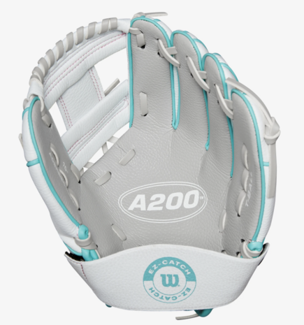 Wilson A200 2024 Beeball Glove EZ-Catch SWTP