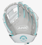 Wilson A200 2024 Beeball Glove EZ-Catch 10'' SWTP